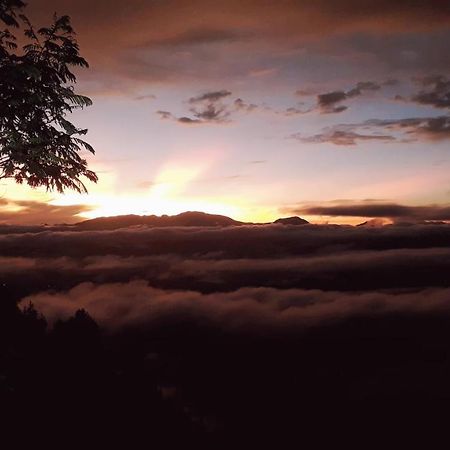 Toraja Manubackpacker Hotel Rantepao Luaran gambar