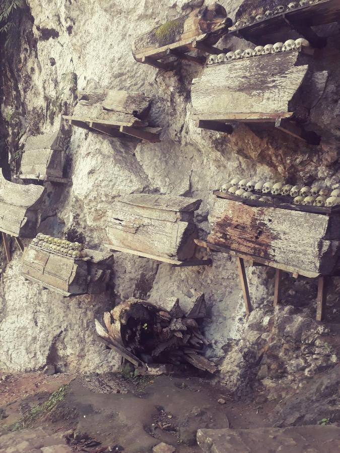 Toraja Manubackpacker Hotel Rantepao Luaran gambar