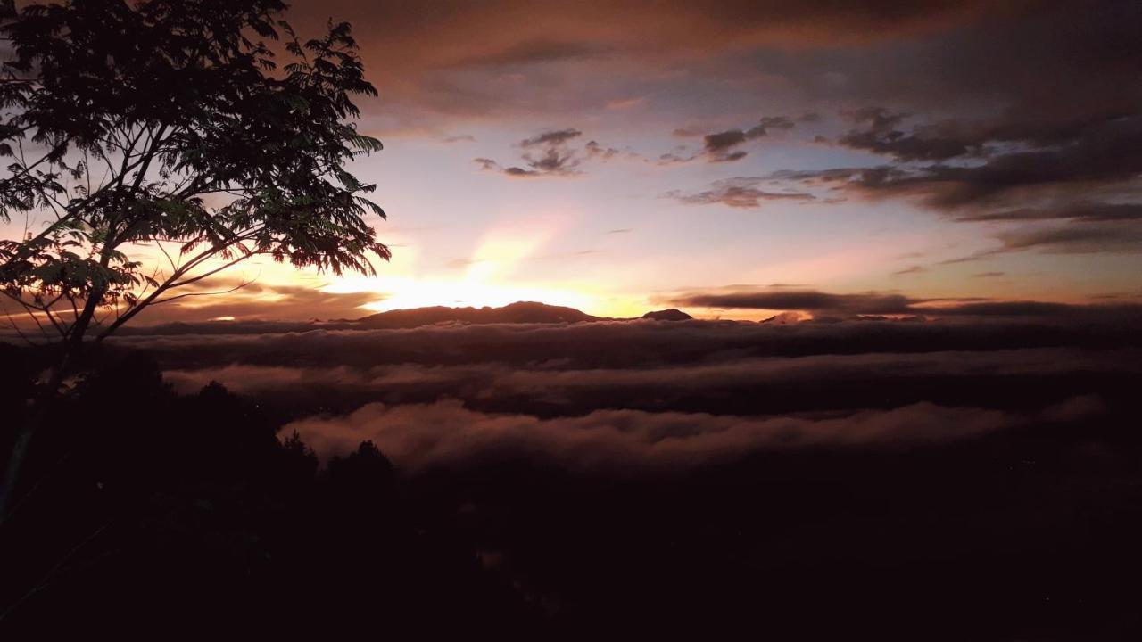 Toraja Manubackpacker Hotel Rantepao Luaran gambar